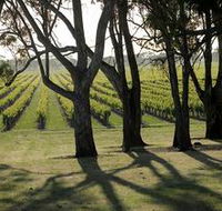Henry's Drive Vignerons - Accommodation Daintree