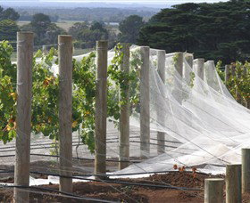 Paradigm Hill - Accommodation Daintree 1