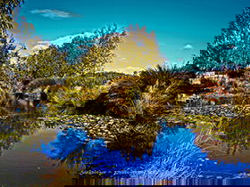 Loira Vines - Accommodation Daintree 0
