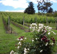 Pembroke Estate Vineyard - Accommodation Daintree