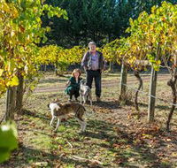 Little River Wines of Taggerty - Accommodation Daintree
