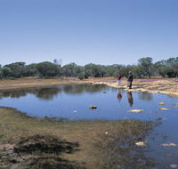 Camel Soak - Accommodation Daintree