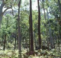 Cathedral Range State Park - Accommodation Daintree