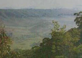 Mount Granya State Park - Accommodation Daintree 0