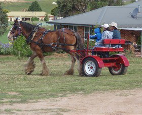 Bathurst Farm Experience - Accommodation Daintree 3