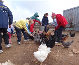 Bathurst Farm Experience - Accommodation Daintree 2