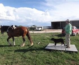 Bathurst Farm Experience - Accommodation Daintree 7