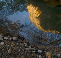 Abercrombie Karst Conservation Reserve - Accommodation Daintree