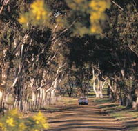 Albert Facey Heritage Trail - Accommodation Daintree