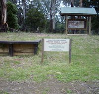 Shelley Forest Camp - Accommodation Daintree