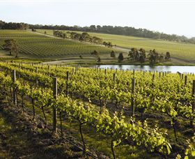 Yabby Lake Vineyard & Cellar Door - Accommodation Daintree 7