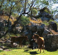 Coomba Falls - Accommodation Daintree