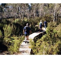 Hume and Hovell Walking Track - Henry Angel Trackhead - Accommodation Daintree