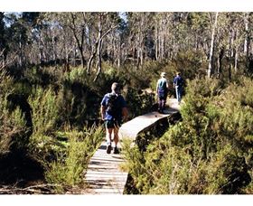 Hume And Hovell Walking Track - Henry Angel Trackhead - Accommodation Daintree 0