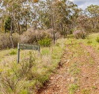 Old Mountain Road Walking Track - Accommodation Daintree