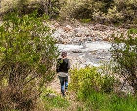 Old Mountain Road Walking Track - Accommodation Daintree 1