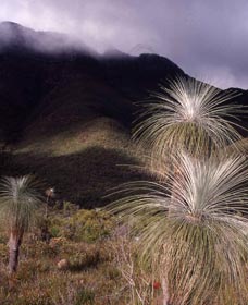 Bluff Knoll, Stirling Range National Park - Accommodation Daintree 3