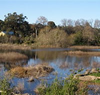 Coolart Wetlands and Homestead - Accommodation Daintree