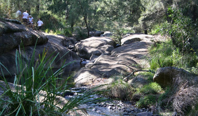 Middle Brook NSW Accommodation Daintree