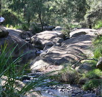 Towarri National Park - Accommodation Daintree