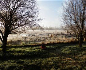 Jannei Artisan Cheese Makers - Accommodation Daintree 2