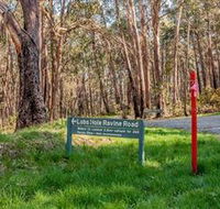 Lobs Hole Ravine 4WD Trail - Accommodation Daintree