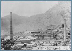 Newnes Kiosk - Accommodation Daintree 1