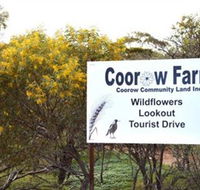 Coorow Farm Wildflower Trail - Accommodation Daintree