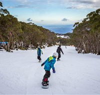 Mt Baw Baw Alpine Resort - Accommodation Daintree