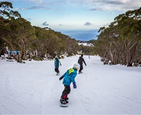 Mt Baw Baw Alpine Resort - Accommodation Daintree 0