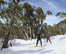 Mt Baw Baw Alpine Resort - Accommodation Daintree 4