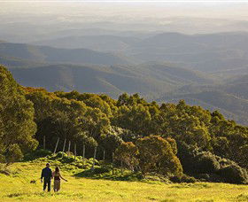 Mt Baw Baw Alpine Resort - Accommodation Daintree 6