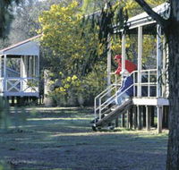 Dryandra Woodland - Accommodation Daintree