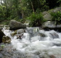 Washpool National Park - Accommodation Daintree
