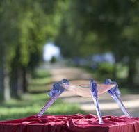 Lillico Glass Studio - Accommodation Daintree