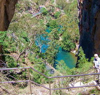 Carlotta Arch walking track - Accommodation Daintree