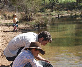 Wooldridge Recreation And Fossicking Reserve - Accommodation Daintree 1