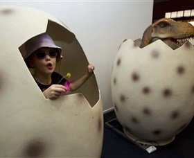 National Dinosaur Museum - Accommodation Daintree 2