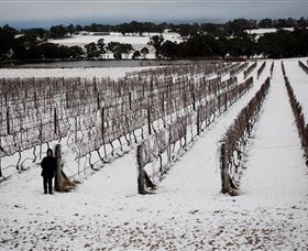 Savina Lane Premum Wines - Accommodation Daintree 2