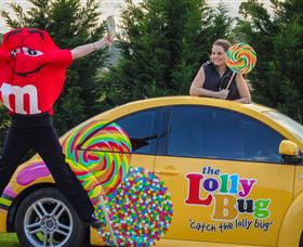 The Lolly Bug - Accommodation Daintree 0