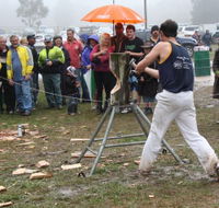 Lockyers Road Walking Track - Accommodation Daintree