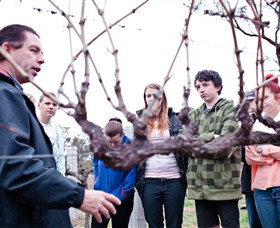 Varias Restaurant And Conference Centre Incorporating Banca Ridge Winery Cellar Door - Accommodation Daintree 3