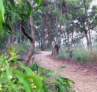 Mount Mutton Walking Trail - Accommodation Daintree