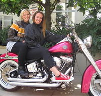 Wild Ride Harley and Motorcycle Tours - Accommodation Daintree