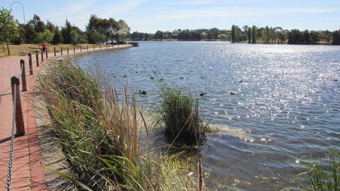Yerrabi Pond - Accommodation Daintree 1