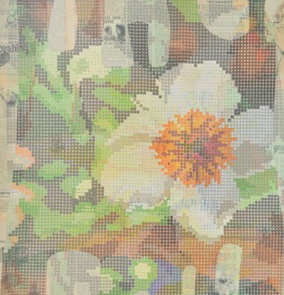 Gallery Barry Keldoulis (GBK) - Accommodation Daintree 1