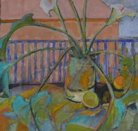 Gallery41 - Accommodation Daintree