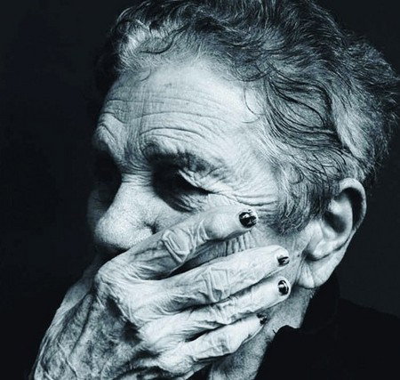 Sydney City NSW Accommodation Daintree