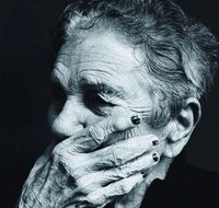 Galleryeight - Accommodation Daintree