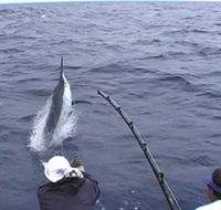Amokura Charters - Accommodation Daintree